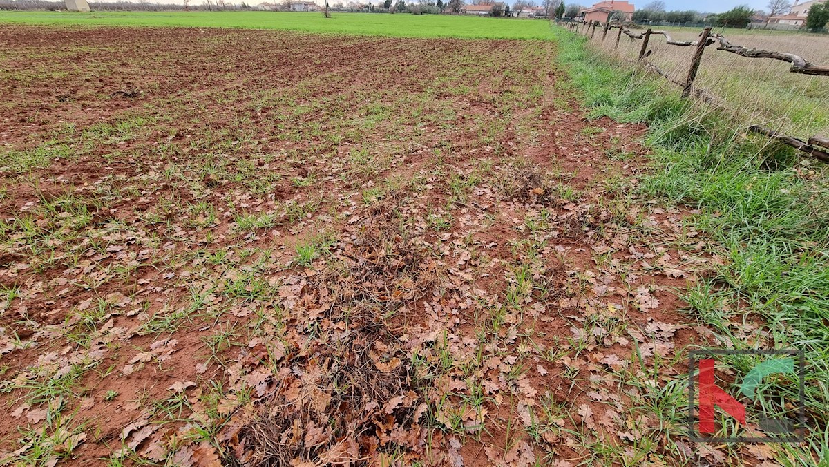 Terreno In vendita - ISTARSKA  MARČANA 