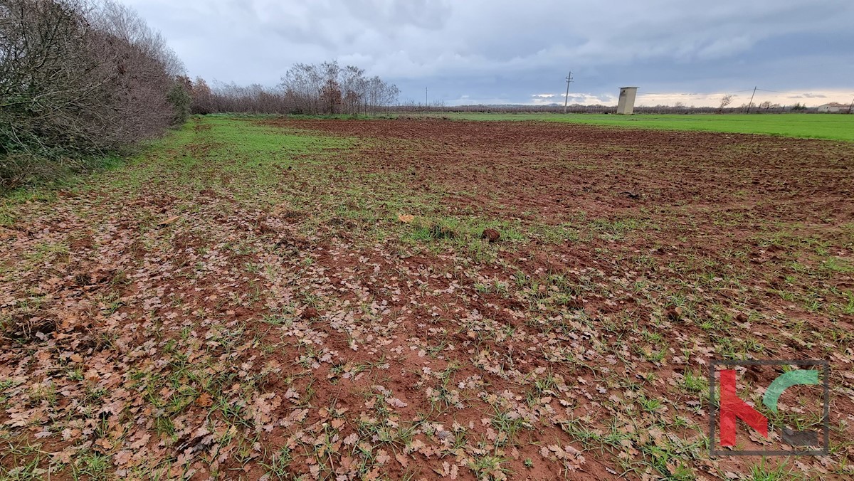 Terreno In vendita - ISTARSKA  MARČANA 