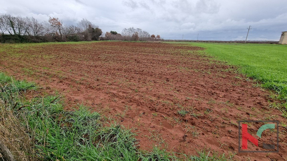 Terreno In vendita - ISTARSKA  MARČANA 