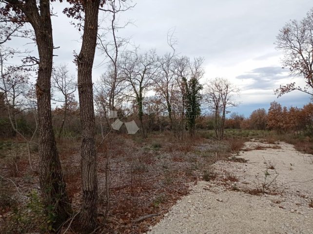 Pozemok Na predaj - Istarska Vodnjan - foto 5/7