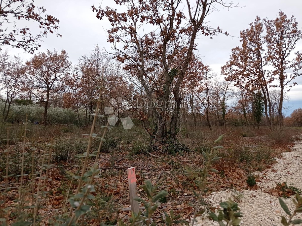 Land For sale - ISTARSKA VODNJAN