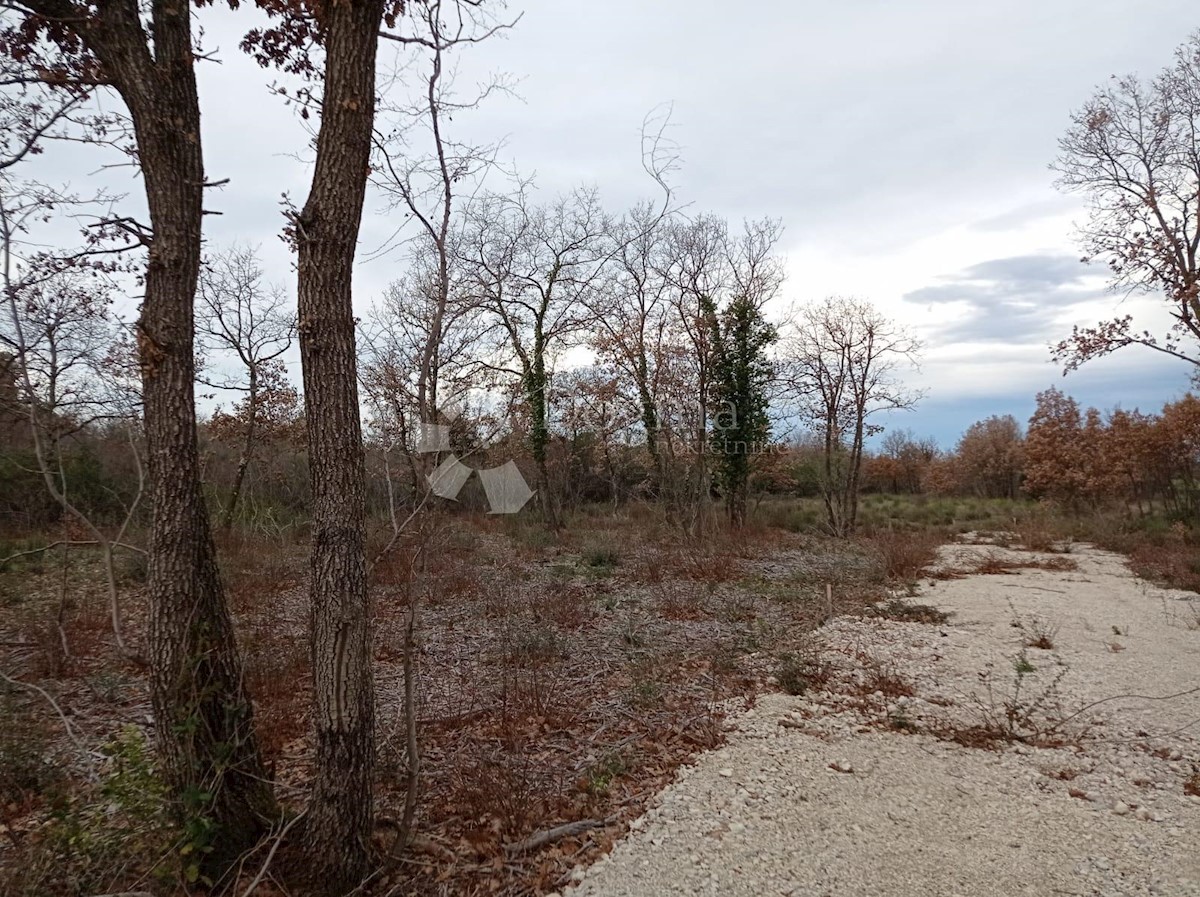 Land For sale - ISTARSKA VODNJAN