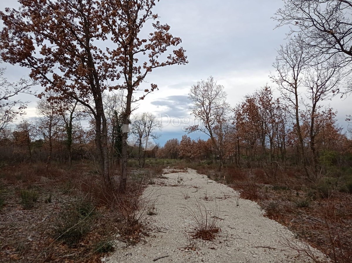 Land For sale - ISTARSKA VODNJAN