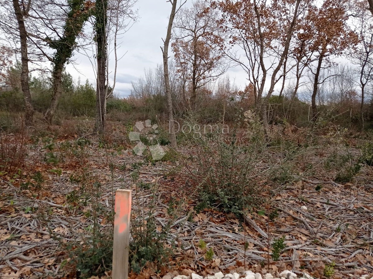 Land For sale - ISTARSKA VODNJAN