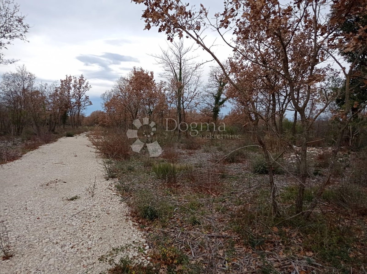 Zemljište Na prodaju - ISTARSKA VODNJAN