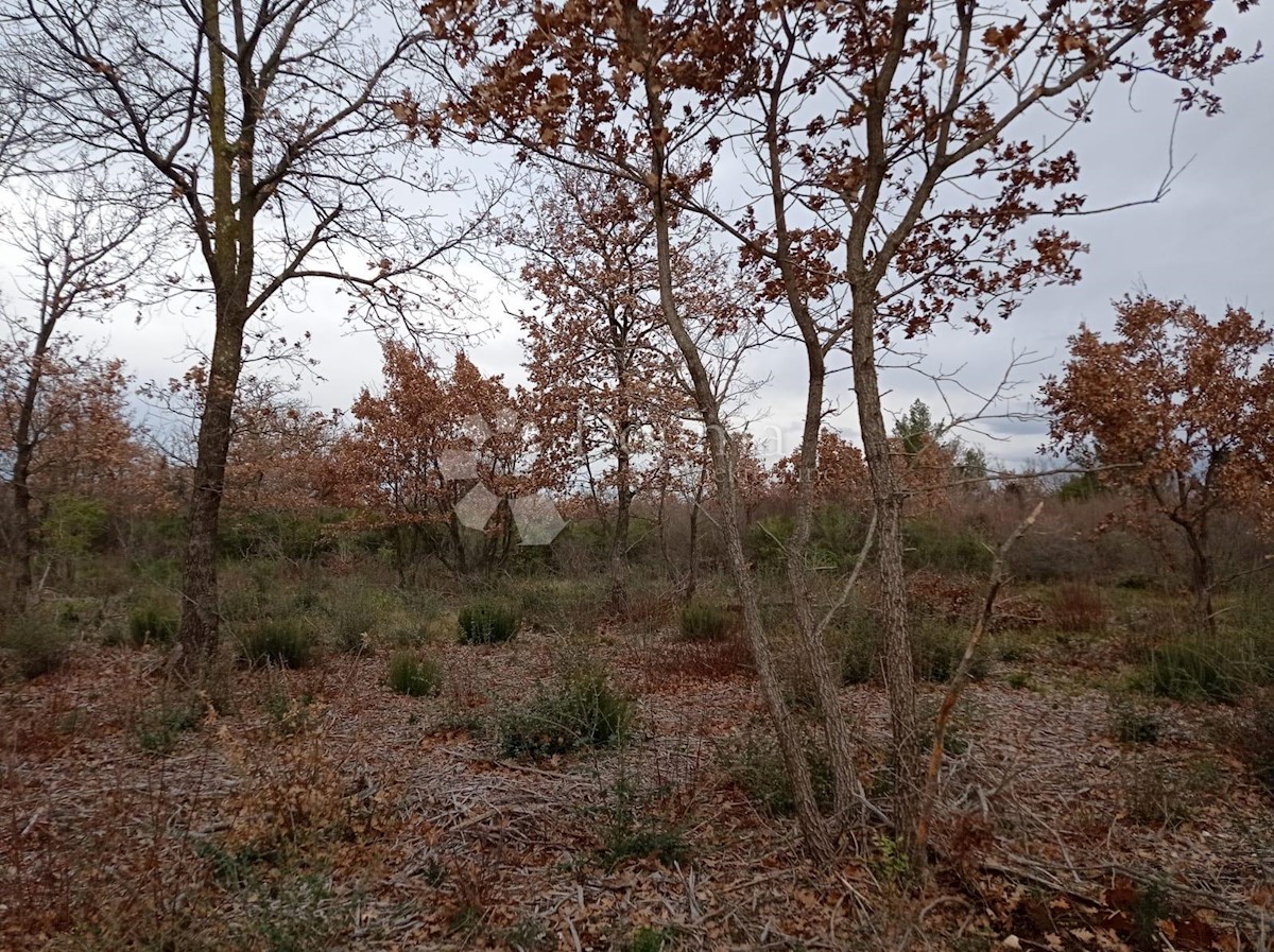 Terreno In vendita - ISTARSKA VODNJAN