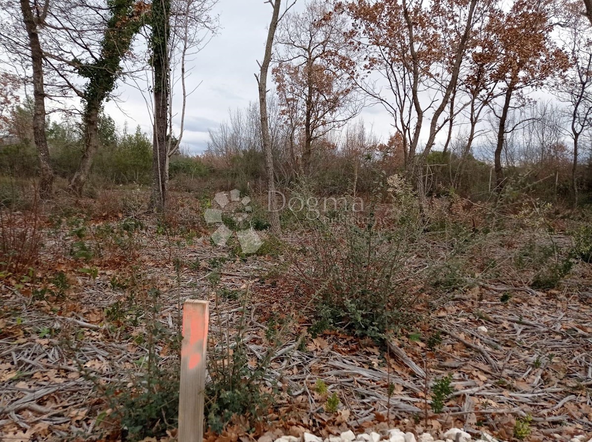 Terreno In vendita - ISTARSKA VODNJAN