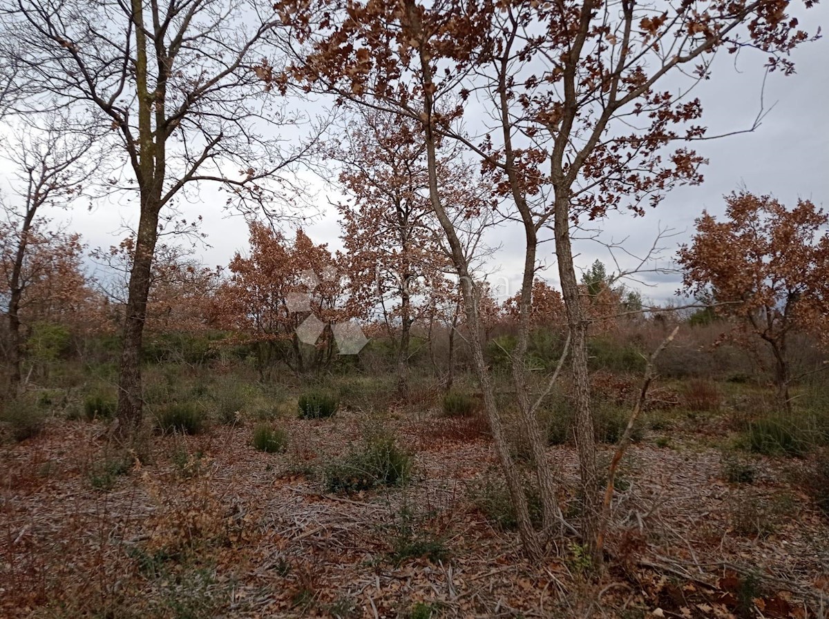 Land For sale VODNJAN