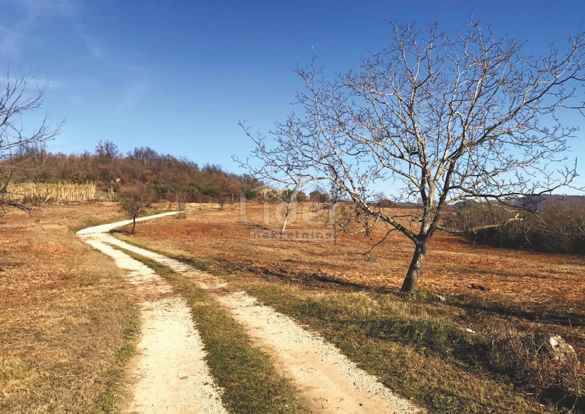 Kuća Na prodaju - ISTARSKA  GROŽNJAN 