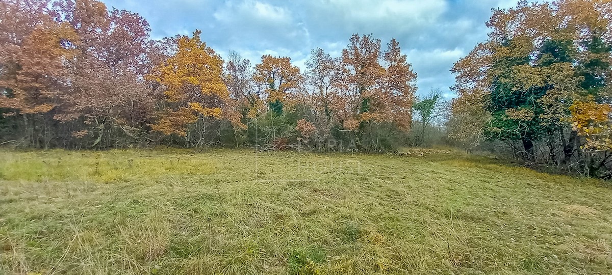 Zemljište Na prodaju - ISTARSKA  GROŽNJAN 