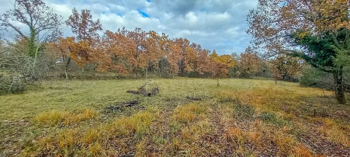 Grundstück Zu verkaufen - Istarska Grožnjan - foto 2/8