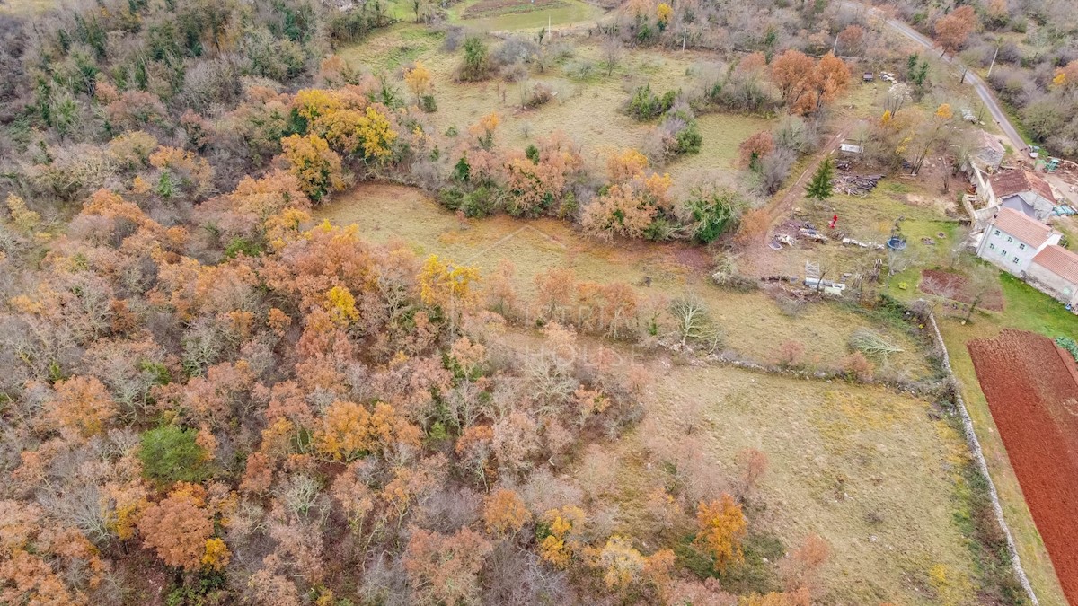 Terreno In vendita - ISTARSKA  GROŽNJAN 