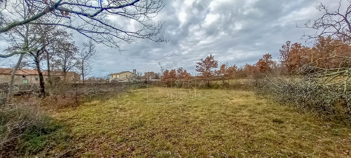 Terreno In vendita - ISTARSKA  GROŽNJAN 