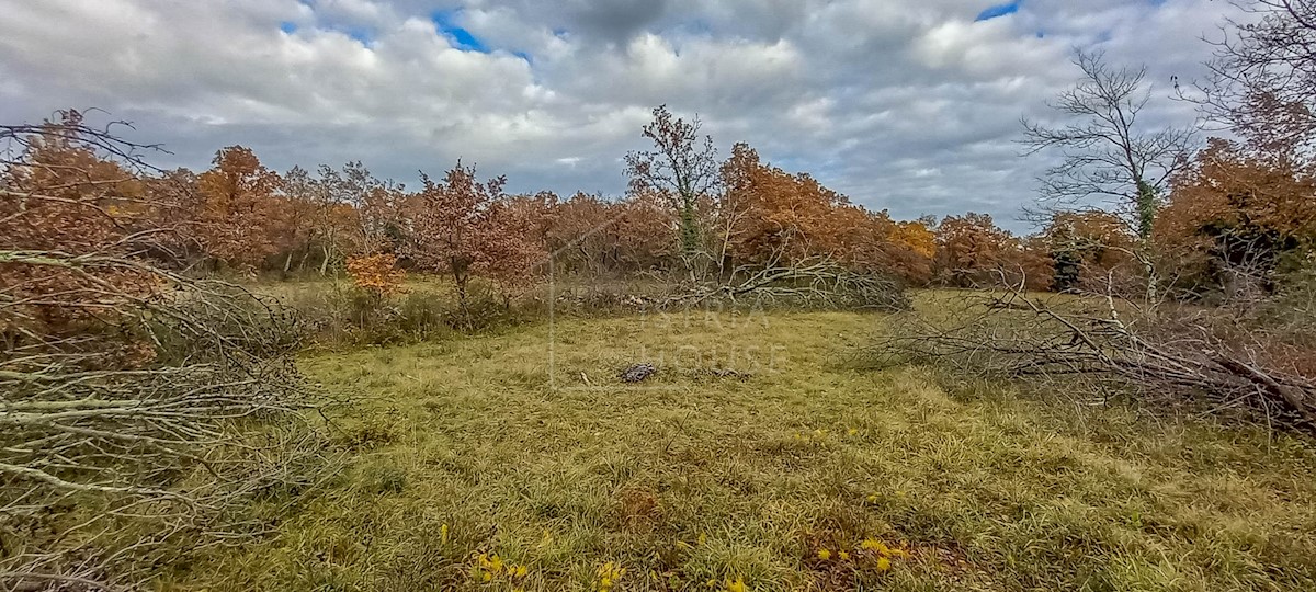 Zemljište Na prodaju - ISTARSKA  GROŽNJAN 