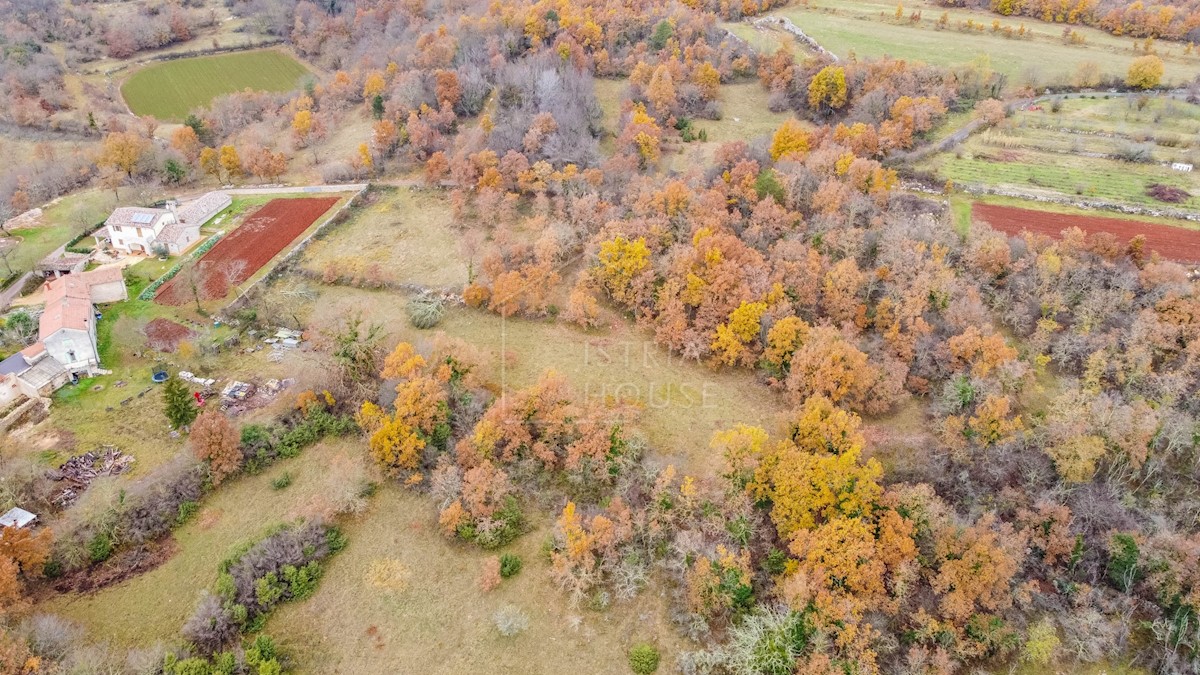 Terreno In vendita - ISTARSKA  GROŽNJAN 