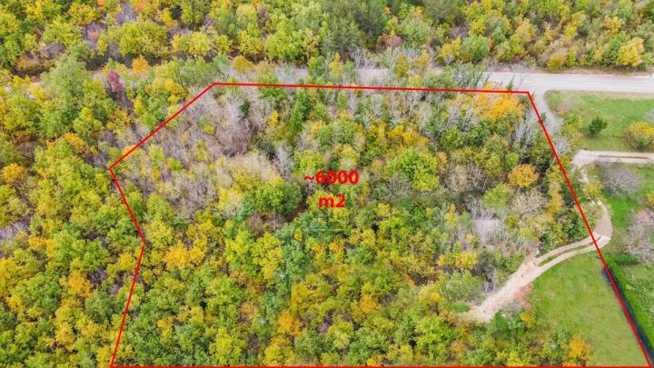 Grundstück zu verkaufen 6000 m² – Motovun