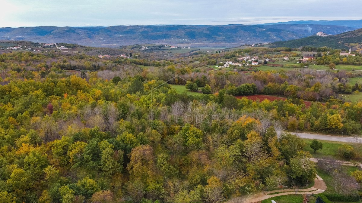 Terreno In vendita - ISTARSKA  MOTOVUN 