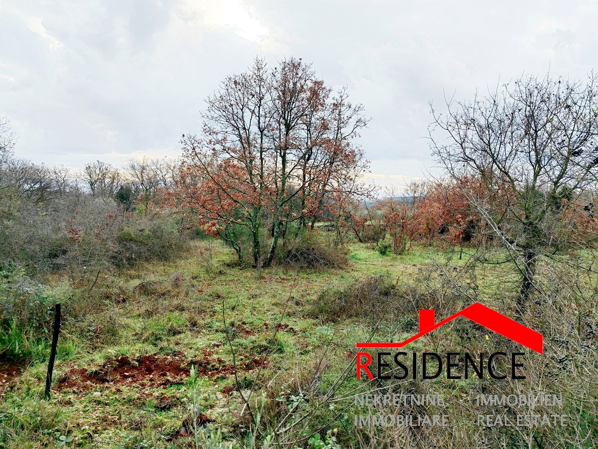 Land For sale - ISTARSKA  MARČANA 