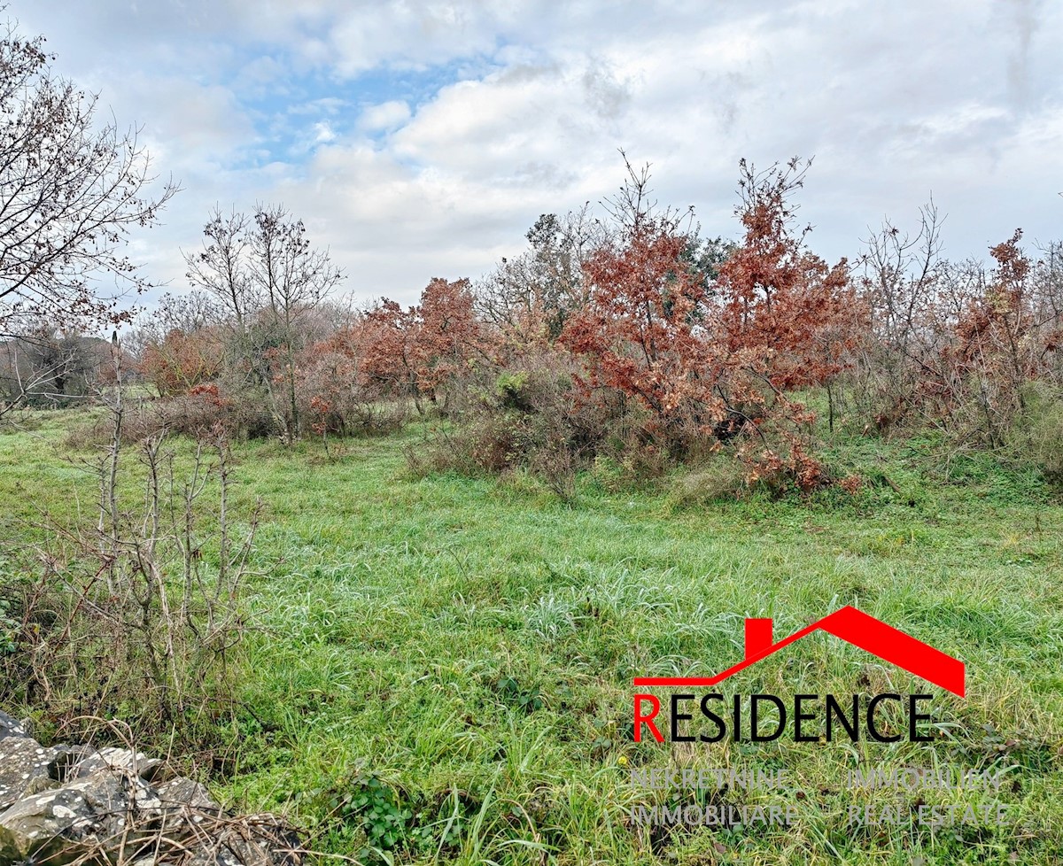 Land For sale - ISTARSKA  MARČANA 