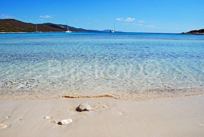 Land for sale 5000 m² – Soline