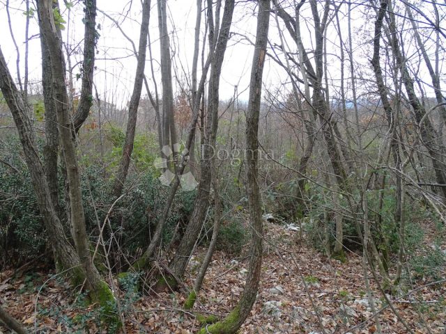 Terrain À vendre - Primorsko-goranska Kastav - foto 5/11