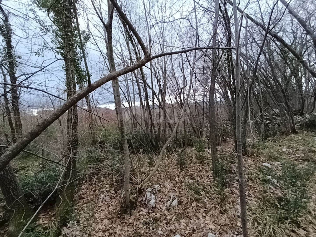 Land For sale - Primorsko-goranska Kastav - foto 2/2