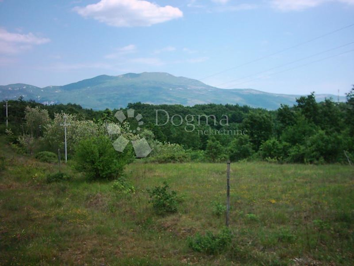 House For sale - ISTARSKA  LUPOGLAV 