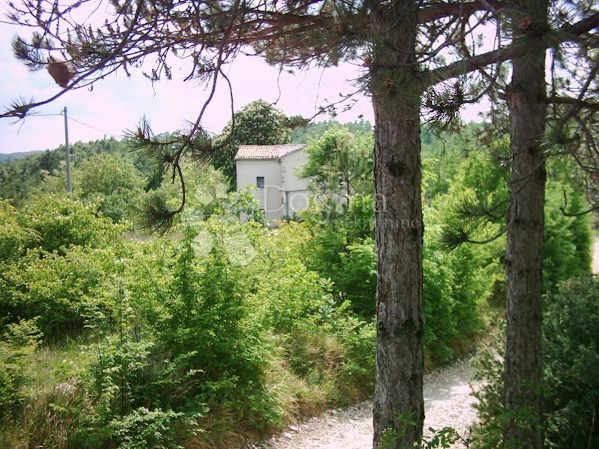 Kuća Na prodaju - ISTARSKA  LUPOGLAV 