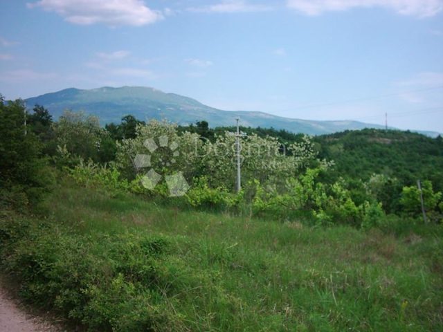 Zemljište Na prodaju - Istarska Lupoglav - foto 5/19