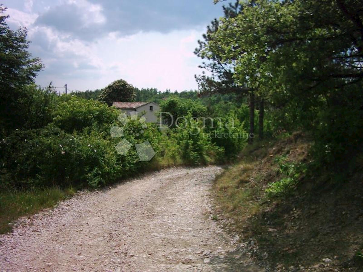 Terreno In vendita - ISTARSKA  LUPOGLAV 