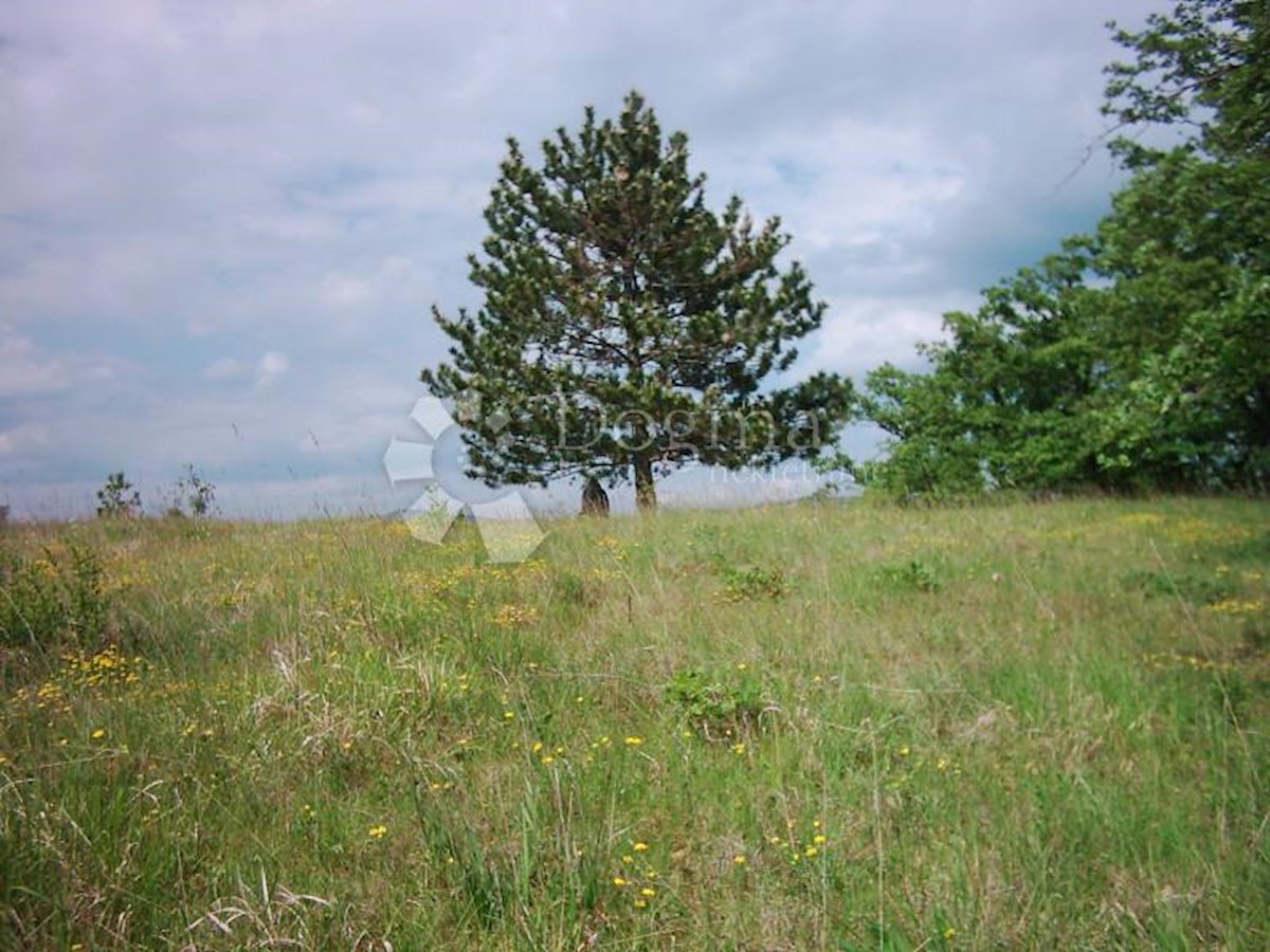 Parcela Naprodaj - ISTARSKA  Lupoglav