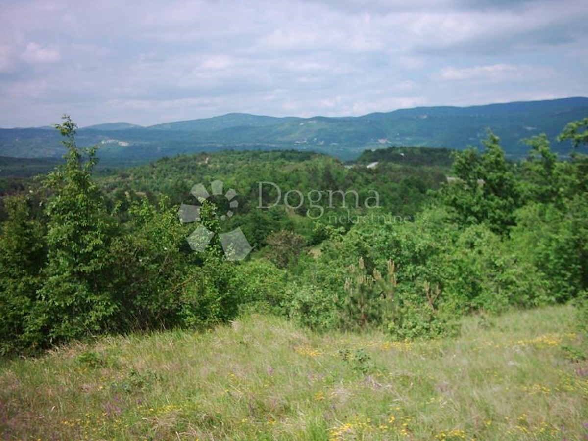 Land For sale - ISTARSKA  LUPOGLAV 