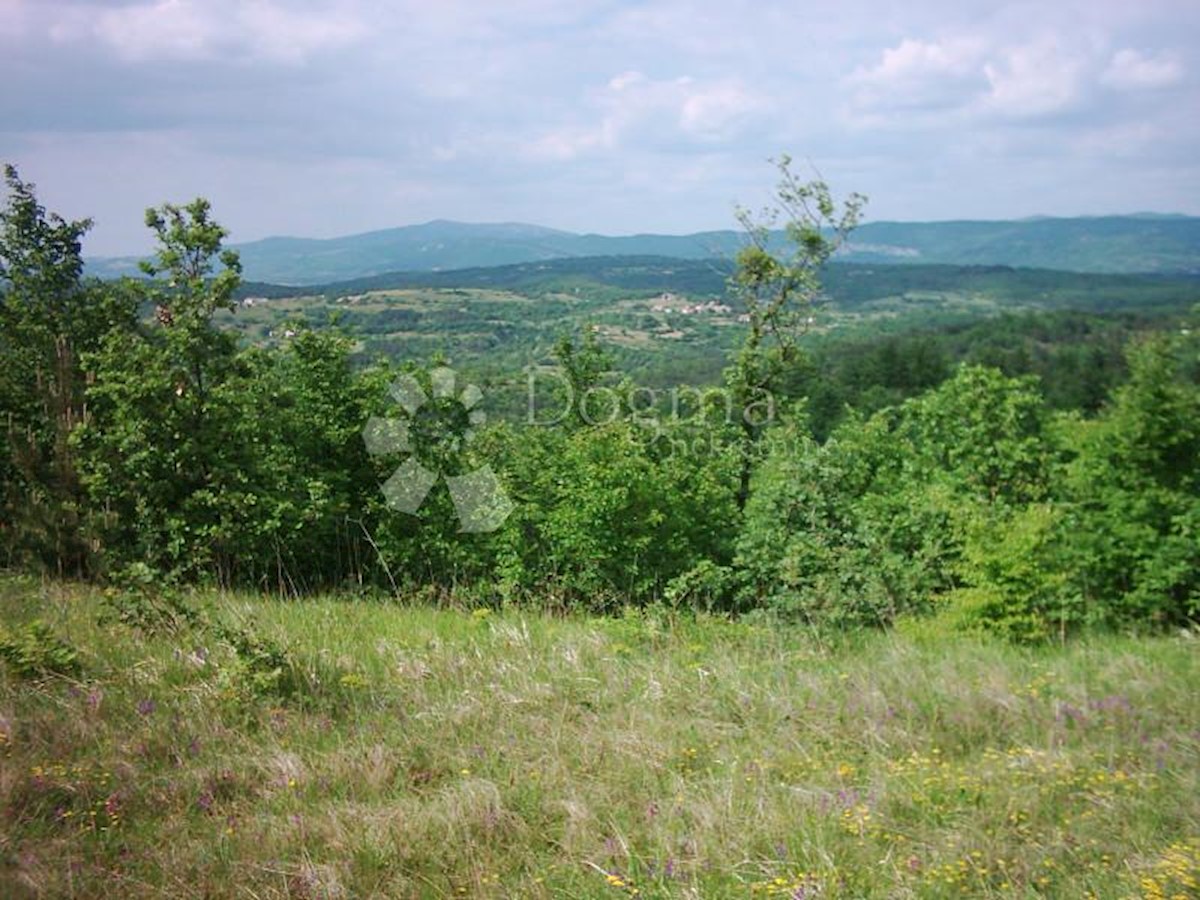 Land For sale - ISTARSKA  LUPOGLAV 