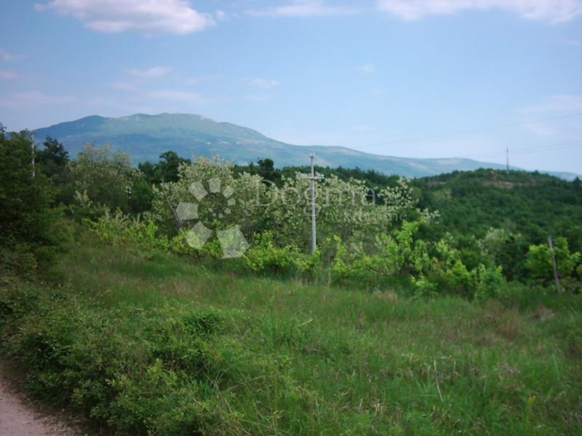 Land For sale - ISTARSKA  LUPOGLAV 