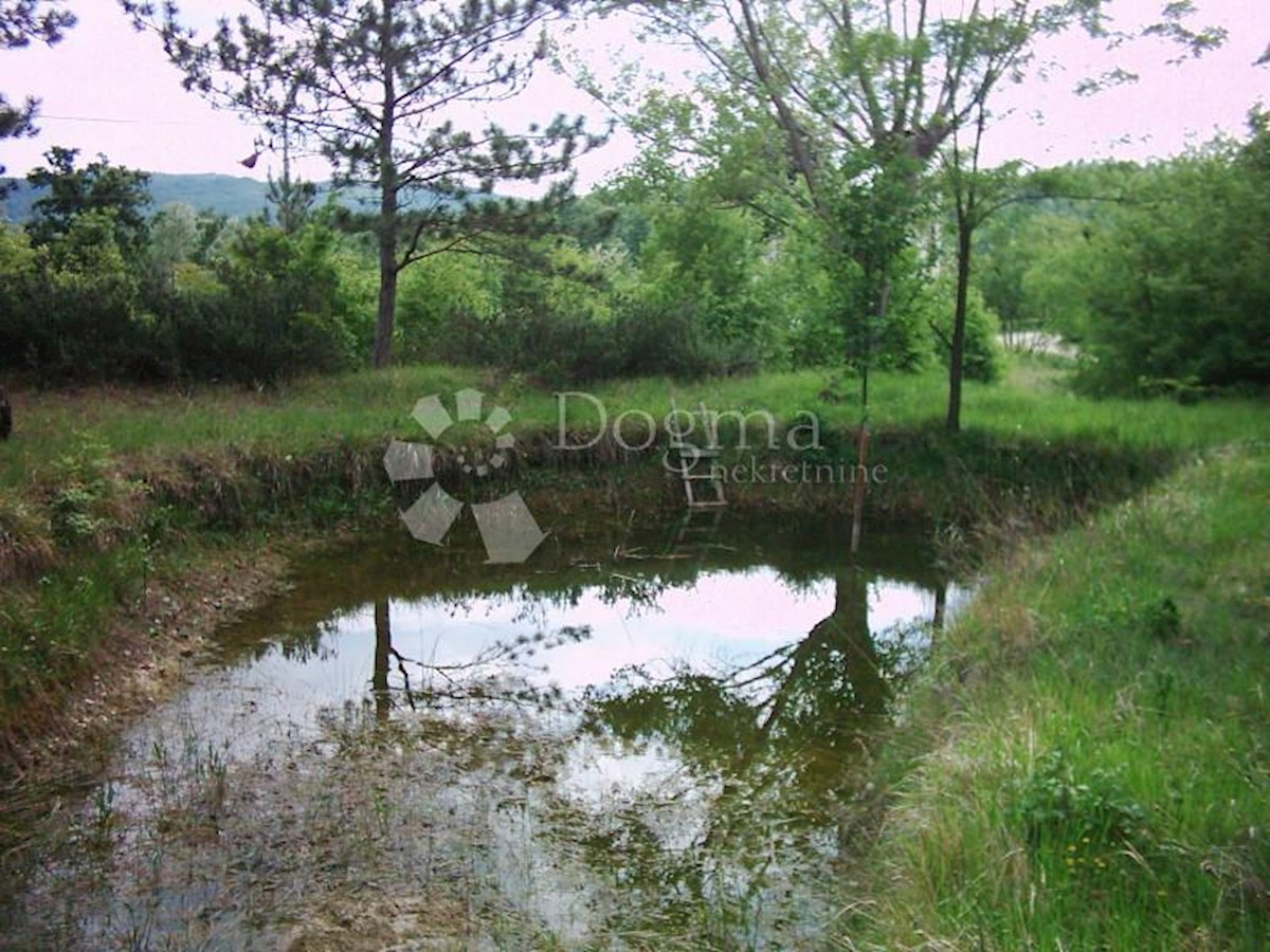 Land For sale - ISTARSKA  LUPOGLAV 