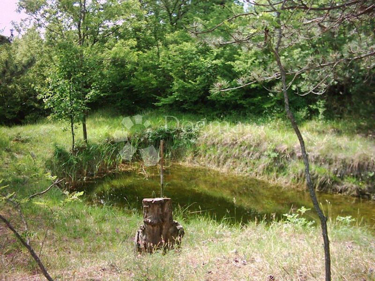 Terreno In vendita - ISTARSKA  LUPOGLAV 