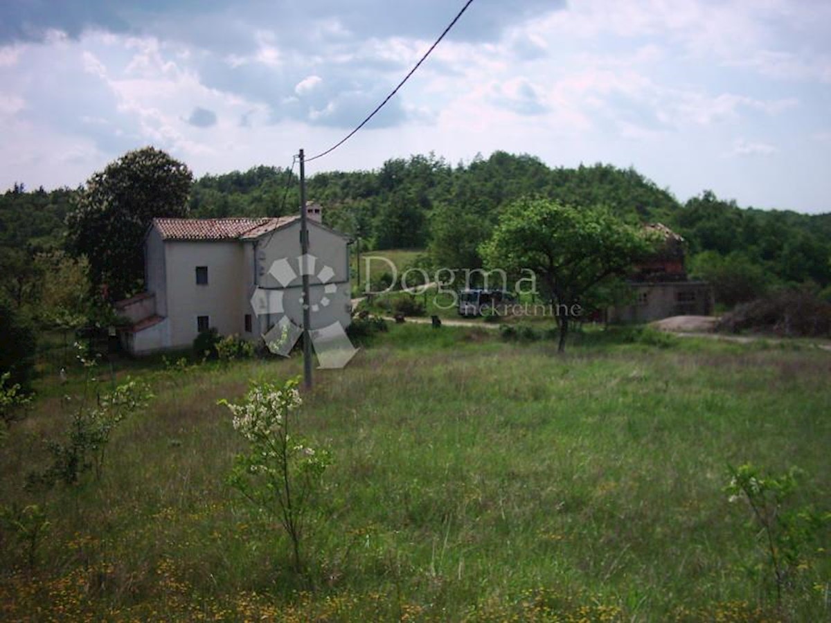 Terreno In vendita - ISTARSKA  LUPOGLAV 