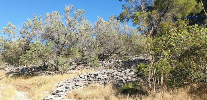 Terreno In vendita - Dubrovačko-neretvanska Korčula - foto 4/5