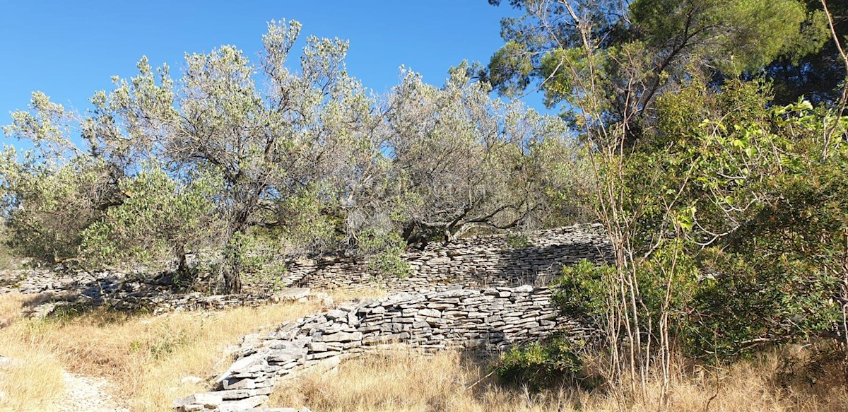Terrain À vendre - DUBROVAČKO-NERETVANSKA  KORČULA 