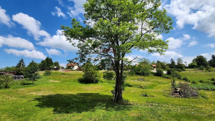 Pozemok na predaj 3500 m² – Moravice