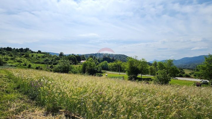Terrain À vendre - Primorsko-goranska Vrbovsko - foto 3/7