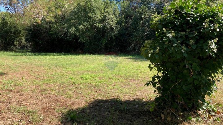 Terrain à vendre 1000 m² – Bašanija