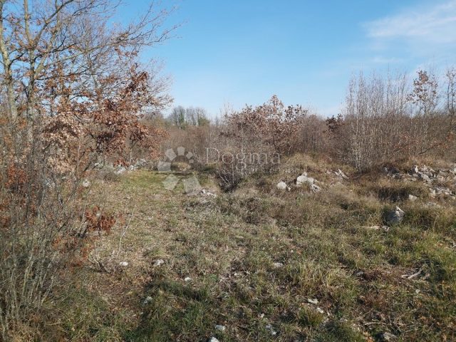 Pozemek na prodej 2470 m² – Juršići
