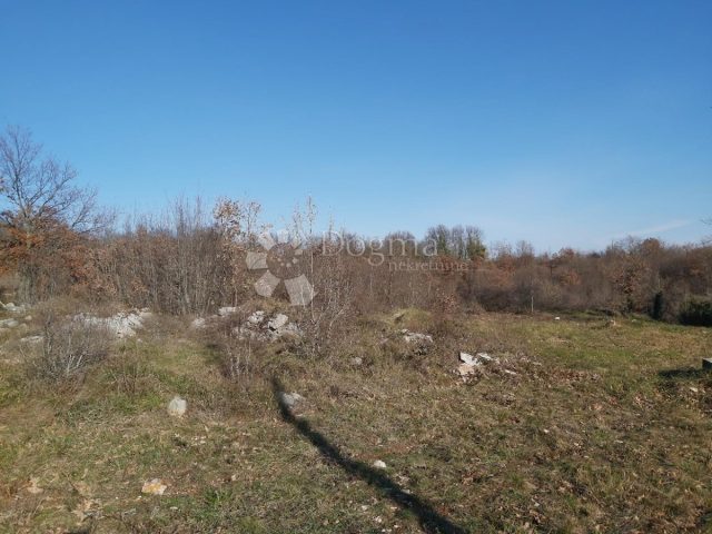Grundstück Zu verkaufen - Istarska Svetvinčenat - foto 2/4