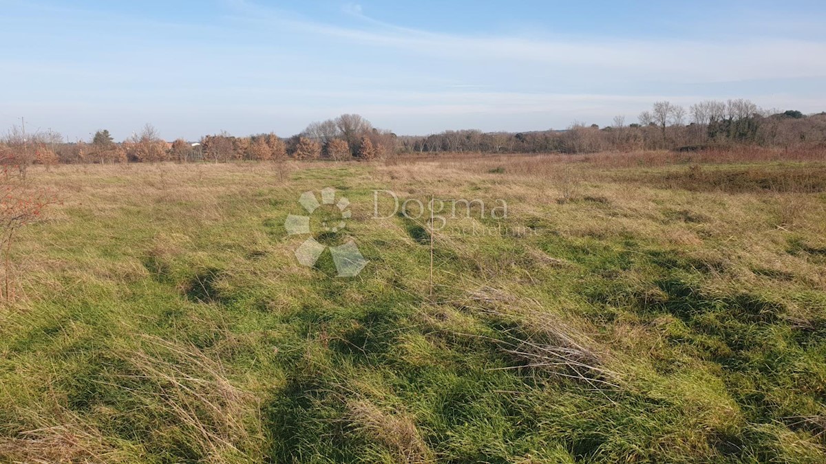 Terreno In vendita - ISTARSKA  FAŽANA 