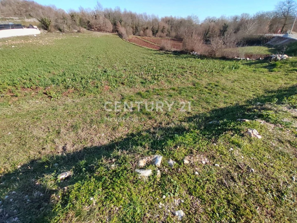 Terreno In vendita - ISTARSKA  TINJAN 