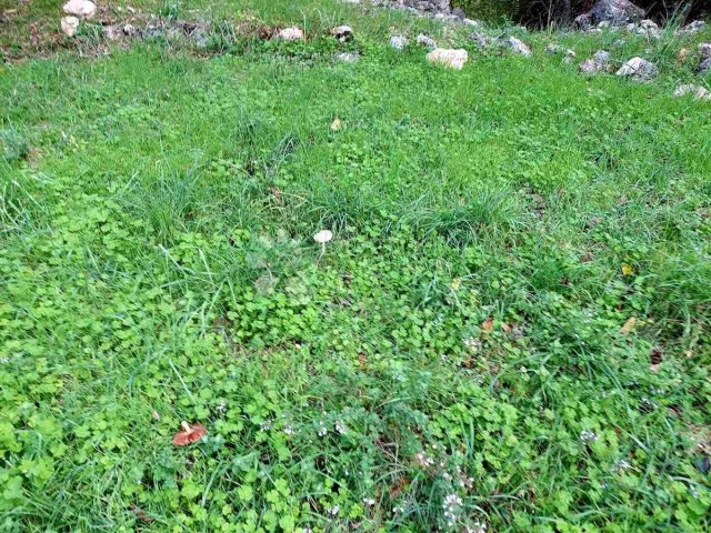 Land For sale - Primorsko-goranska Krk - foto 2/5