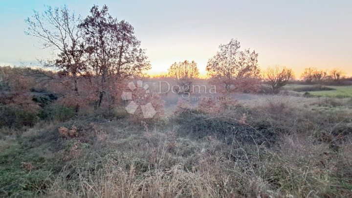 Terreno in vendita 2697 m² – Tinjan