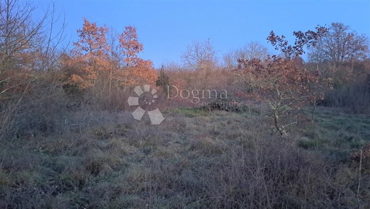 Grundstück Zu verkaufen - Istarska Tinjan - foto 2/2
