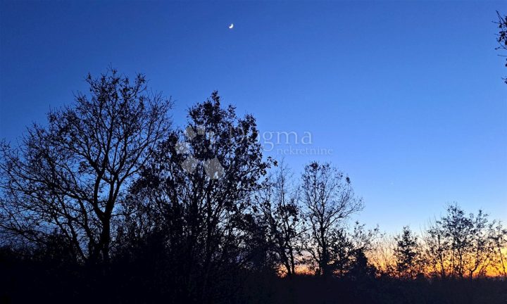 Parcela Naprodaj - Istarska Tinjan - foto 3/3